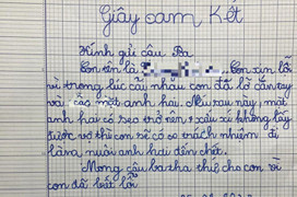 Bật cười với nguyên nhân đằng sau giấy cam kết ‘nuôi anh hai’ của bé gái lớp 1