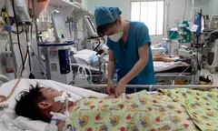 Bộ Y tế 'giục' tìm nguồn cung thuốc chống sốc cho bệnh nhân sốt xuất huyết nặng