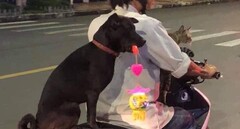Muôn kiểu mừng trung thu hài hước được dân tình thi nhau khoe trên mạng