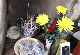 Thực hư chuyện 'bạch xà' xuất hiện ở đình làng Bắc Giang