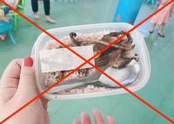 Thông tin 'bữa cơm có thịt chuột của học sinh vùng cao' là sai sự thật