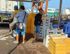 Trái cây Trung Quốc ồ ạt đổ về chợ đầu mối TP.HCM, giá rẻ không ngờ