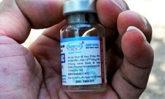 Lợn chết sau khi tiêm vaccine: Sở NN&PTNT Quảng Ngãi nói gì?