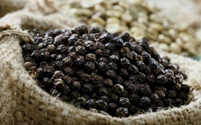 Giá tiêu hôm nay 15/9: Ít biến động, thấp nhất 65.500 đồng/kg