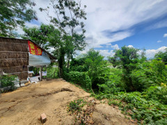 Phú Yên: Bờ sông Ba sạt lở, người dân nặng nỗi lo