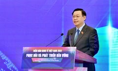 Diễn đàn kinh tế - xã hội Việt Nam 2022: Thúc phục hồi, phát triển bền vững