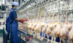 Doanh nghiệp quay cuồng giữa 'bão' giá nguyên liệu đầu vào