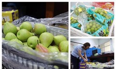 Hà Nội: Hàng loạt cửa hàng bán hoa quả nhập khẩu mập mờ xuất xứ