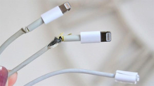 Cách khắc phục tình trạng dây sạc iPhone không hoạt động