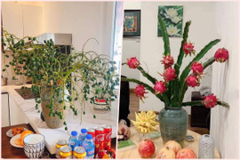 Khách thích trưng đồ độc lạ, cành cọ, cành thanh long bỗng chốc hút hàng