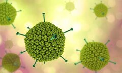 Trẻ nhập viện do virus Adeno tăng nhanh, cha mẹ cần lưu ý gì?