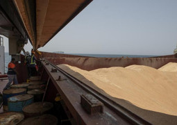 Thỏa thuận ngũ cốc giúp 3,7 triệu tấn nông sản rời cảng Ukraine 