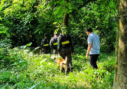 Cảnh sát huy động chó nghiệp vụ tìm kiếm Lương Hải Như