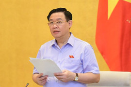 Đấu giá biển số ô tô: Con số là tài sản công, cần được khai thác hiệu quả nhất