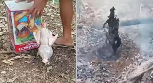 Món gà nướng cháy thành than do học cách làm trên mạng