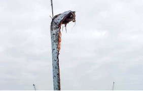 Video: Ngư dân ở Chile bắt được cá mái chèo dài gần 5m