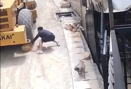 Video: Xe lu hàng chục tấn tuột dốc, người đàn ông dũng cảm dùng đá chặn lại