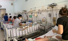1.500 túi dịch truyền Dextran điều trị sốc sốt xuất huyết về Việt Nam