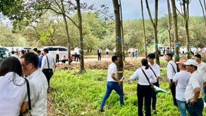 Xôn xao video bán đất như bán rau ở Bình Phước