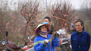 Trình phương án nghỉ Tết Nguyên đán 7 ngày