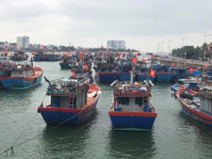 Đưa thuyền tới khu tránh bão, một ngư dân Quảng Bình rơi xuống biển mất tích