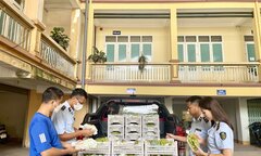 Thái Nguyên: Tiêu hủy 2 tấn trái cây không rõ nguồn gốc, xuất xứ
