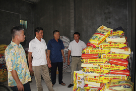 Hợp tác xã góp phần thay đổi diện mạo vùng quê