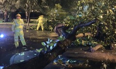 Bão Noru trên vùng biển Quảng Trị - Quảng Ngãi, gió giật cấp 15