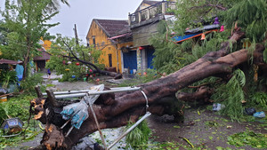 Trực tiếp: Những hình ảnh tan hoang sau bão sáng 28/9