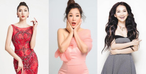 Nghệ sĩ Việt nổi danh một thời và những ngã rẽ không ngờ