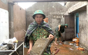 Đề nghị doanh nghiệp bảo hiểm sớm bồi thường thiệt hại do bão Noru