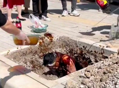 Dân mạng ngán ngẩm cảnh chú rể bị đổ đậu phụ thối lên người ‘theo phong tục’