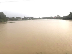 Ảnh: Mưa trắng trời, nhiều nơi ở Nghệ An bị ngập sâu