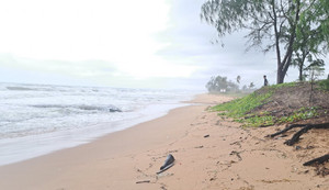 Có 2 căn cước công dân người Trung Quốc trong 7 thi thể dạt vào Phú Quốc