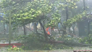 Những điều cần làm để bảo vệ nhà cửa trước mùa mưa bão, phòng chống thiên tai