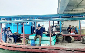 Quảng Ninh: Khai trừ ra khỏi Đảng 4 cán bộ môi trường đô thị TP Cẩm Phả