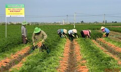 Tỉnh Hải Dương đẩy mạnh hỗ trợ các hợp tác xã