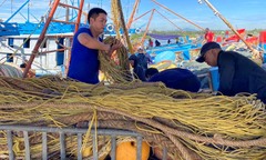 Bão tan, giá dầu 'hạ nhiệt', ngư dân Quảng Ngãi hối hả vươn khơi