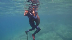 Video: Khoảnh khắc thợ lặn vui đùa cùng sư tử biển