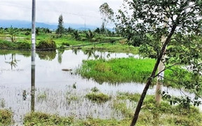 Phát hiện thi thể nổi bên lạch nước sau khi lũ rút ở Hà Tĩnh