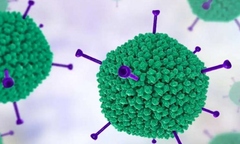 Chuyên gia: Không xét nghiệm tràn lan Adeno virus ở trẻ em