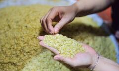 Người dân Mễ Trì tất bật vào vụ cốm, thu tiền triệu/ngày