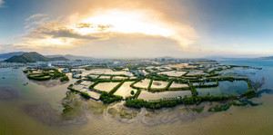 Cận cảnh dự án nghìn tỷ nợ tiền thuê đất, chậm tiến độ ở Bình Định