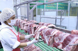 Giá heo hơi hôm nay 6/10: Tăng, giảm trái chiều