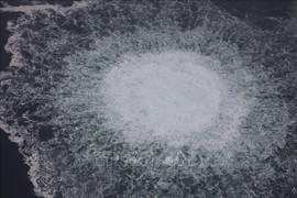 Nga yêu cầu được tham gia cuộc điều tra vụ rò rỉ đường ống Dòng chảy phương Bắc