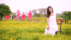 Giới trẻ thả dáng trong vườn cúc sao băng ở Hà Nội
