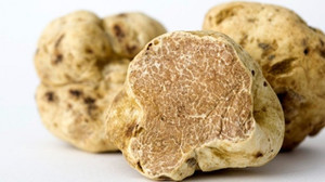 Những món ăn có giá xa xỉ nhất trên thế giới