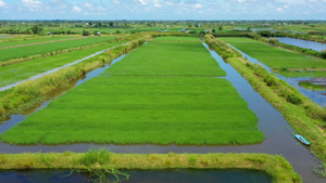 Liên kết vì những cánh đồng hạnh phúc