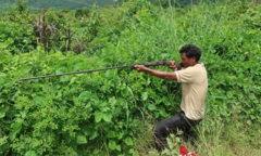 Đi bẫy gà không may bị người săn thú bắn thiệt mạng
