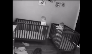 Bé trai dùng mông dịch cũi để trả đũa bạn